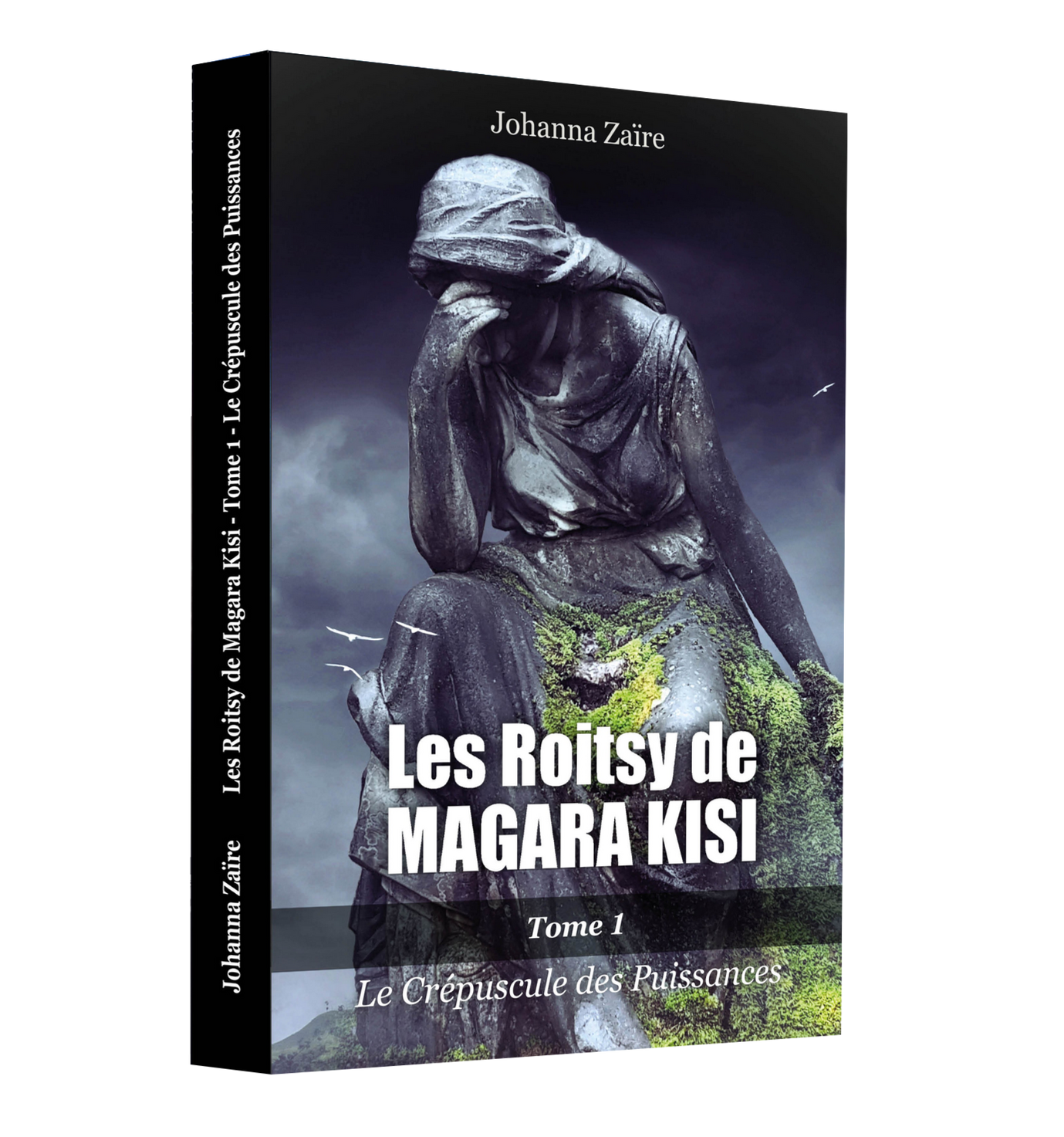 Livre Les Roitsy de Magara Kisi - Tome 1 par l'auteure Johanna Zaïre